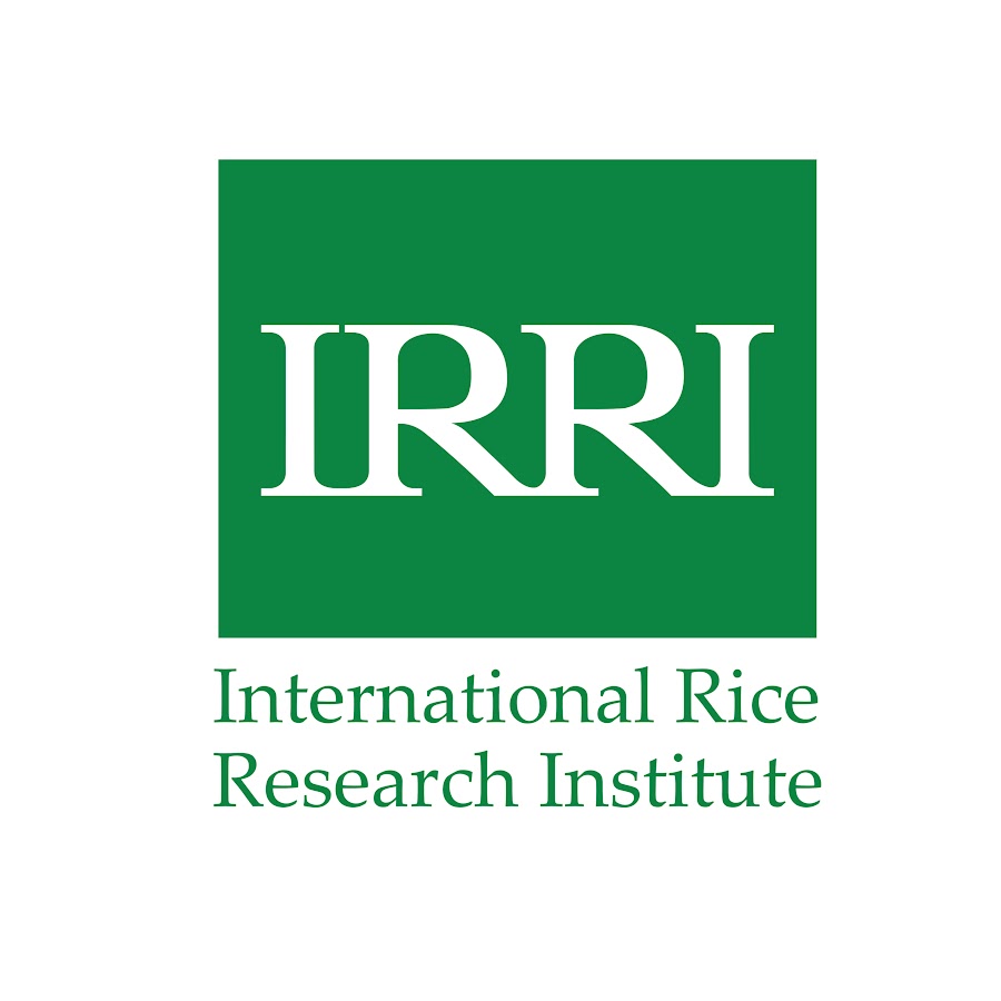 International Rice Research Institute (IRRI)